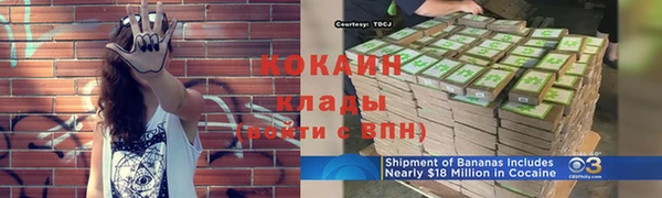ALPHA PVP Няндома