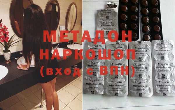 сатива Новозыбков