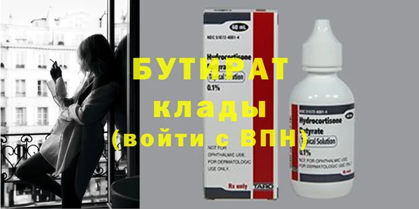 сатива Новозыбков