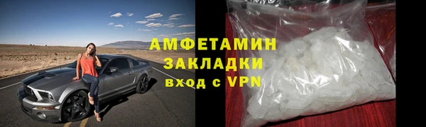 сатива Новозыбков
