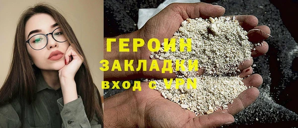 сатива Новозыбков