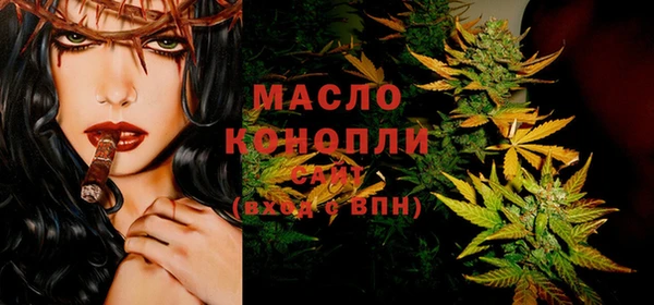 сатива Новозыбков