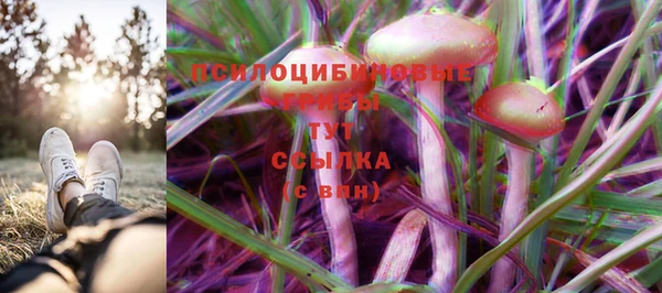 марки lsd Новодвинск