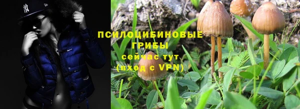 spice Новокубанск