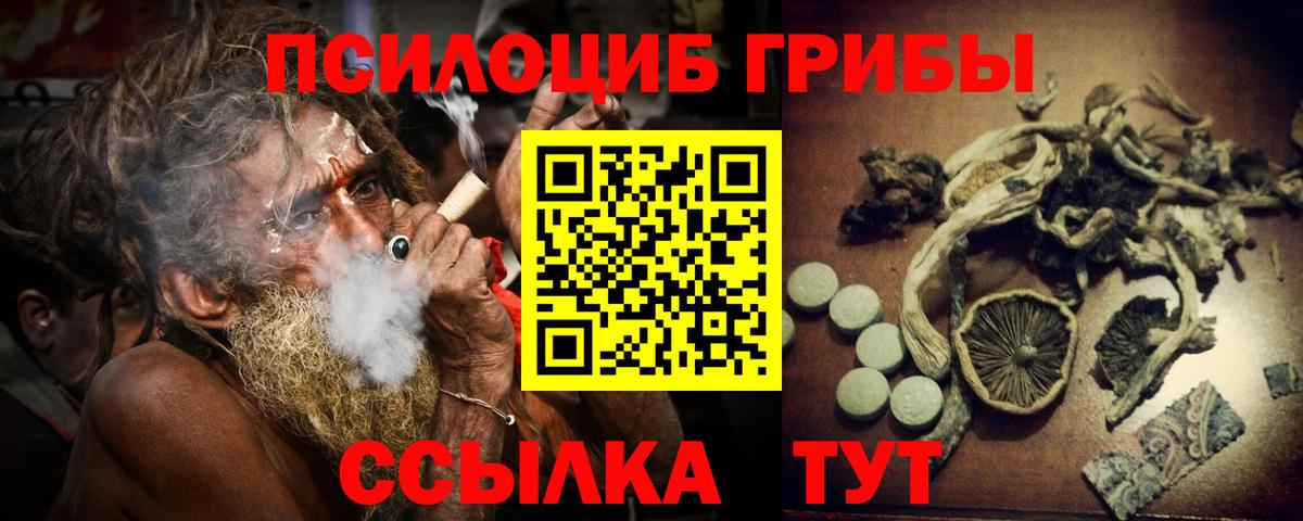 Кореновск  Псилоцибиновые грибы мицелий  Вход с VPN 
