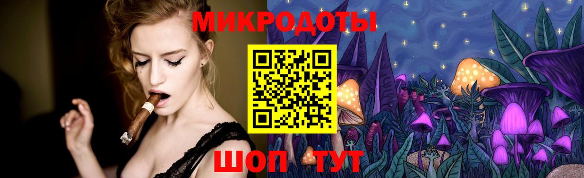 Псилоцибиновые грибы Psilocybe Кореновск